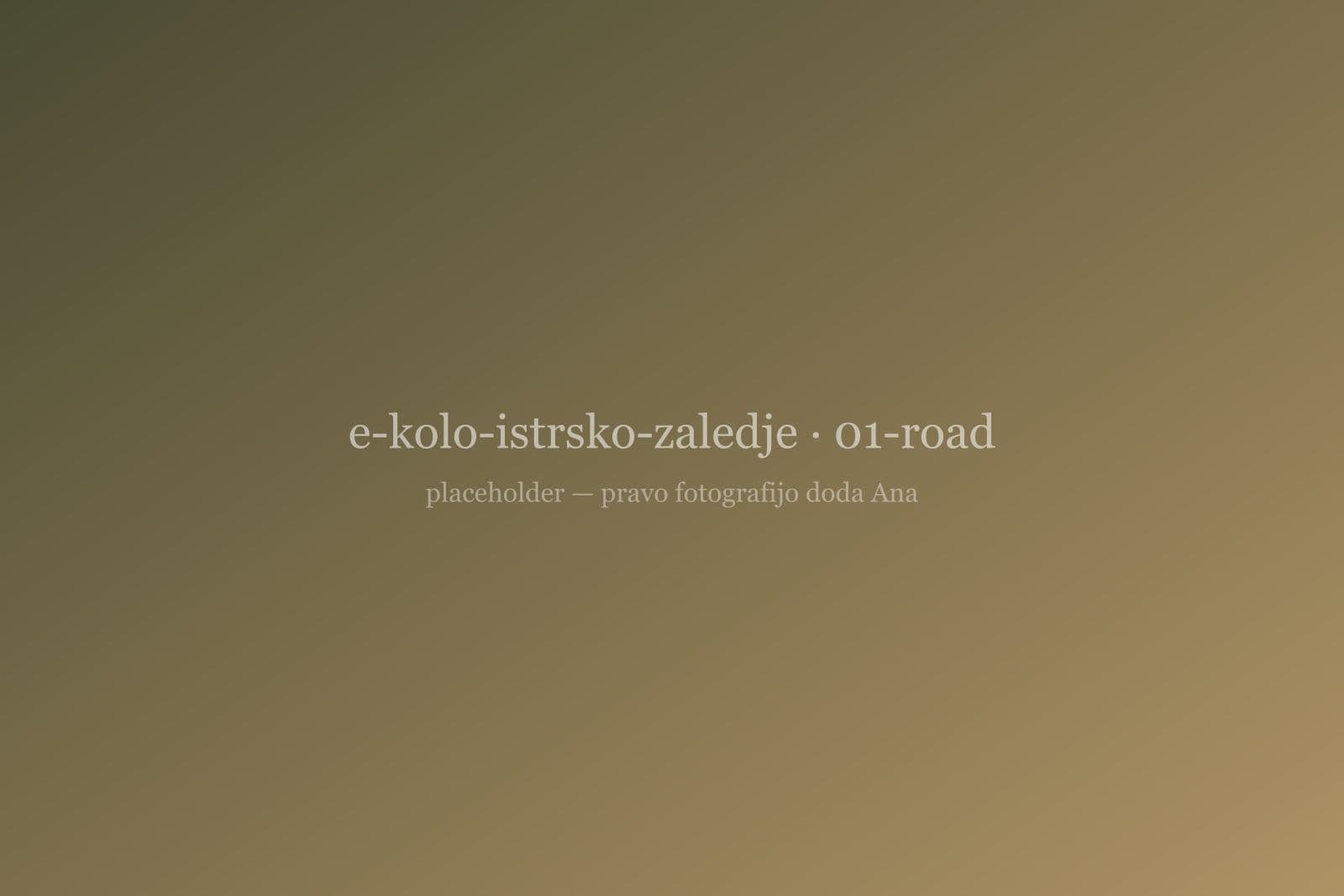 Kolesarji na stranski cesti med vinogradi istrskega zaledja